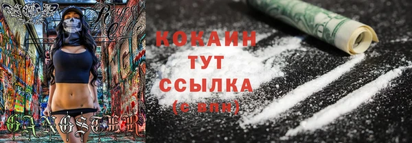 ПСИЛОЦИБИНОВЫЕ ГРИБЫ Нея