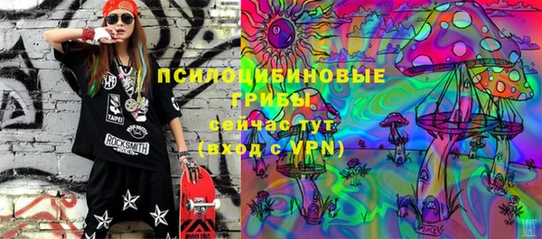 ПСИЛОЦИБИНОВЫЕ ГРИБЫ Нея