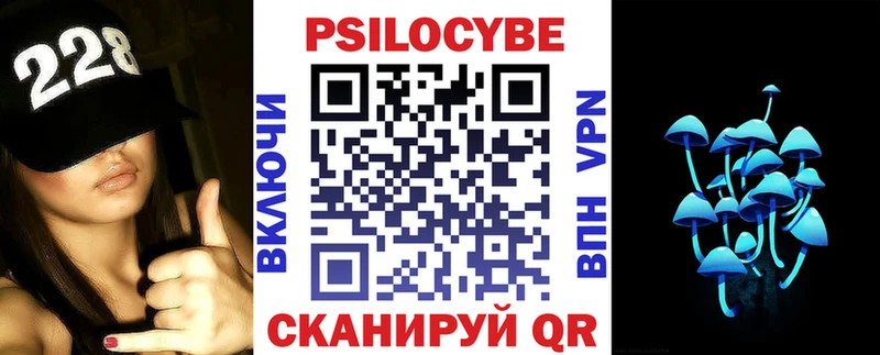 Галлюциногенные грибы Psilocybe  Юхнов 